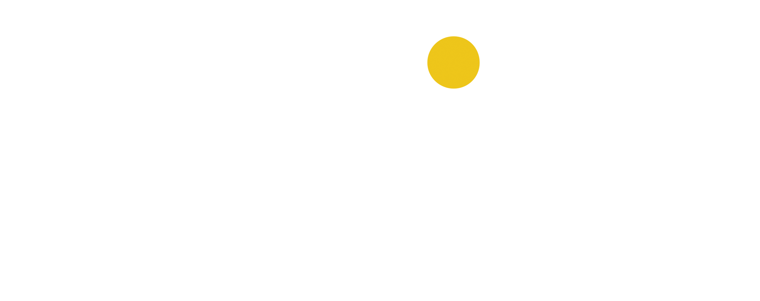 Sudsies Dry Cleaner logo featuring the Sudsies name in bold, modern lettering